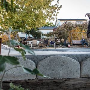 Meet your Posher, Beau